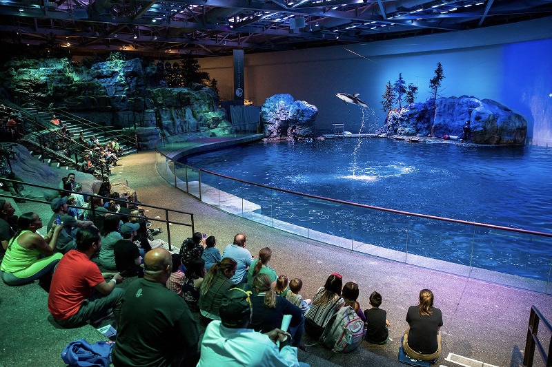 Top Aquariums in the U.S. - Shedd Aquarium 