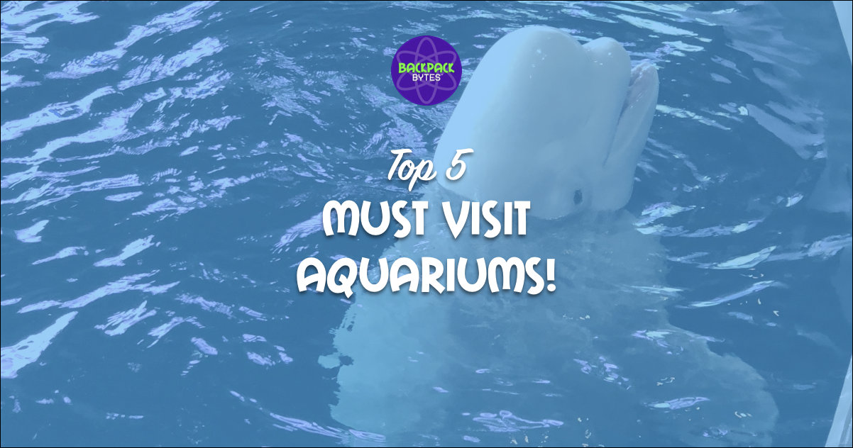 Top Aquariums to visit in the U.S.